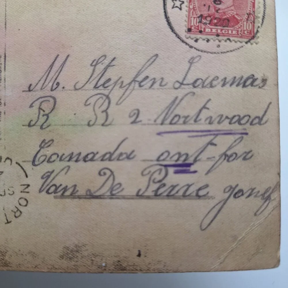 Antique‎ REX 619 Floral Postcard Sepia Botanical Art Belgium Postmark Brown Aged